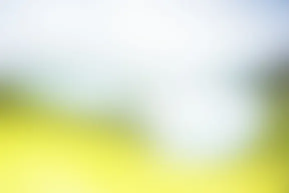 Mint Cazino Cazinou Suport